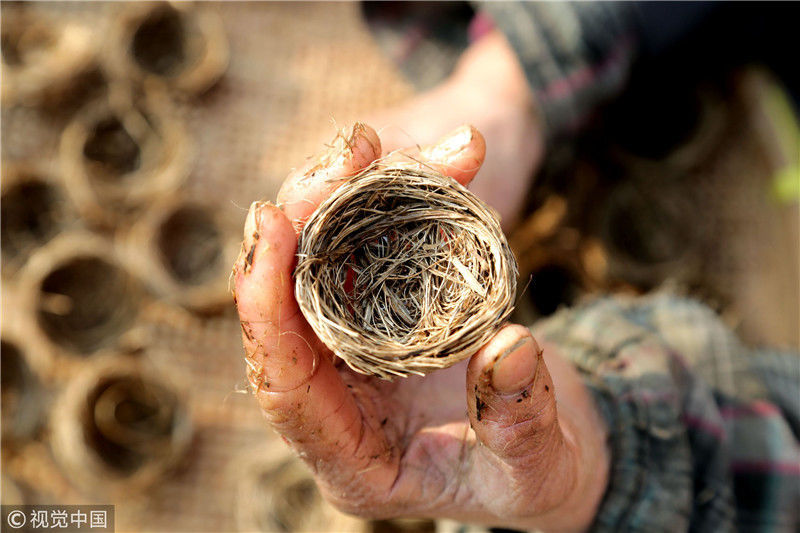 江苏南通海安市南莫镇朱楼村1组村民正在用麻丝和胶水编织出口小鸟窝