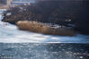 2018年12月17日早晨，在青岛崂山北九水山间，四水水库水面结冰，呈现出壮观的“冰湖”美景，阳光透过薄雾照进山谷，冰面反射着柔和的光线，水库边的芦苇随风轻摆，形成了一幅冬日画卷。