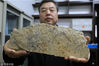 2018年12月18日，南京，中国科学院南京地质古生物研究所研究人员展示在南京东郊的一处早侏罗世南象山组地层中，发现的距今1.74亿年前绽放于侏罗纪早期的“南京花”。这是迄今为止，世界上最古老的花朵化石，将被子植物可信的化石记录向前推进了约5000万年。相关研究成果发表在英国综合性学术期刊《eLife》上。