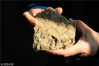 2018年12月18日，南京，中国科学院南京地质古生物研究所研究人员展示在南京东郊的一处早侏罗世南象山组地层中，发现的距今1.74亿年前绽放于侏罗纪早期的“南京花”。这是迄今为止，世界上最古老的花朵化石，将被子植物可信的化石记录向前推进了约5000万年。相关研究成果发表在英国综合性学术期刊《eLife》上。成加贝/视觉中国
