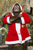 2011年12月20日消息，泰国曼谷，10岁的猩猩凯特在曼谷一家私人动物园里打扮成圣诞老人，供游人参观照相。圣诞节在佛教盛行的泰国也被广泛庆祝。圣诞-新年旅游季正全力进行中，1900多万游客来到泰国游玩。