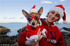 当地时间2012年12月25日，爱尔兰都柏林，布伦达（Brenda Massayne）和她的狗狗贝拉准备参加一年一度的圣诞节游泳活动。