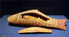 2018年12月19日，广州，“尼罗河畔的回响——古埃及文明特展”展出的鱼形木棺。