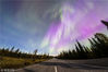 当地时间2017年9月8日，芬兰拉普兰德，拉普兰德地区上空的北极光。