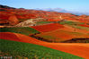 2006年2月5日，云南，花石头村最壮观的红土地。彭国平/视觉中国