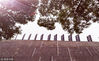 2018年12月06日，江苏省南京市，第五个南京大屠杀死难者国家公祭日前夕，侵华日军南京大屠杀遇难同胞纪念馆周围的墙上已经安装了“国家公祭”牌，庄严肃穆。