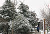 2018年12月7日晚至8日晨，江苏苏州喜降瑞雪，飞雪过后，穹窿山景区银装素裹，组成美丽的生态图景，宛如一幅幅水墨画卷。