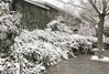 2018年12月7日晚至8日晨，江苏苏州喜降瑞雪，飞雪过后，穹窿山景区银装素裹，组成美丽的生态图景，宛如一幅幅水墨画卷。李兴根 王建康/视觉中国
