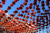 2018年1月31日，辽宁丹东。春节将至，市内主要路段张灯结彩年味渐浓。在九纬路百年银杏大道，数千个红灯笼渲染着红火，而每棵百年银杏树上更是缀满了仿银杏叶装饰，逼真的效果宛如金秋。黄银杏、红灯笼，人们正在用中国的传统底色祈盼新一年的富贵红火。