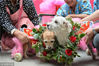 2013年10月18日，四川省成都市双流县爱之家动物救助中心，新郎乖乖（右）和新娘兰兰。18日，爱之家动物救助中心小狗兰兰和华西动物医院小狗乖乖喜结良缘，举行了隆重的宠物婚礼。