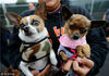 2010年10月17日，美国加州欧文，Pet-A-Palooza展会为小狗们举行集体婚礼。