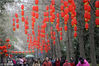 2018年2月10日，成都人民公园，各处装点着红灯笼，甚是漂亮。