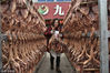 2016年1月18日，四川成都，走在彭州市九尺镇街头，一股浓浓的卤板鸭的“年味”却扑面而来，忍不住深吸一口。在这条长约2公里的街道上挂满了香肠，腊肉，腊鱼，缠丝兔等过年的腊味。