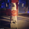 2018年2月16日消息，狗年到了，萌狗不断刷屏。来自浙江杭州的网友“小米是快快的”就晒出了他珍藏的一些狗狗傻萌照片，大家都笑翻了。
小狗站在石墩上。锐图/视觉中国