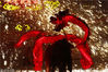 2018年2月18日，重庆铜梁火龙钢花队在北京欢乐谷表演。火龙钢花是国家级非物质文化遗产，源自重庆铜梁，有“中华第一龙”的美誉。高达1500℃的铁水掺杂特制的干花被抛向天空，“铁水流星”瞬间洒向地面，赤膊上阵的舞龙者在“铁水流星”下舞动穿梭。
