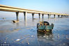 2018年2月6日，青岛胶州湾跨海大桥附近，渔船冻结在海冰上。