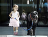 2012年3月19日，澳大利亚墨尔本皇家儿童医院，2岁的Claire Couwenberg和狗狗“Ralf the Giant Schnauzer”。Claire的肾上患有肿瘤，做完肾切除手术后正处于恢复阶段。“Ralf”来自Lort Smith动物医院，每周五都来看望这些小病人，给他们带来欢笑。