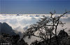2018年3月9日，在安徽黄山风景区拍摄的雪后出现的云海景观。
