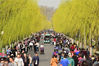 2018年03月11日，浙江省杭州市春光明媚，气温回暖。气象部门宣布进入气象学意义上的春天。