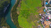 2017年02月19日，广西壮族自治区河池市宜州市祥贝乡易水湾景区油菜花镂空组成的巨大“寿”字。
