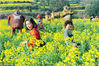 2018年3月15日，江西省婺源县溪头乡江岭村，游客正在开心拍摄独具农家文化的花田稻草屋、稻草人，并与其合影留念。