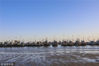 2108年3月16日傍晚，青岛即墨区黄龙庄渔港在春色中船歌荡漾，如诗如画。