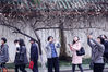 2018年3月3日，南京，南京鸡鸣寺路上樱花“消息树”率先绽放，吸引了不少市民给它拍照。