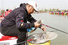 2018年4月15日，江苏宿迁，钓手在泗洪县洪泽湖湿地公园大圆塘参加垂钓大赛。