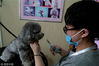 图为张昌鸿正在给宠物狗洗澡做“美容” 。