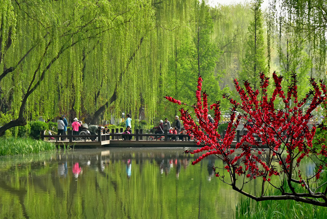 北京：“潭西胜境”桃红柳绿 春色惹游人驻足拍照