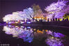 2018年3月27日，江苏无锡，著名赏樱胜地鼋头渚进入赏樱最佳期，晚上夜樱璀璨，美不胜收。