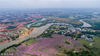 2018年4月19日，广西南宁千亩花海开放如彩色油画。