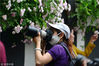 2018年4月21日，南京，人们在颐和路片区观赏盛开的蔷薇、拍照留念。