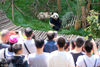2018年4月22日，贵阳市黔灵山公园大熊猫馆正式开馆，“海归”大熊猫“星宝”“海浜”正式与公众见面。据悉，这两只大熊猫均为雄性，“海浜”为旅日大熊猫，“星宝”则出生于西班牙，它们将在贵阳进行为期至少三年的科普展示。
邓刚/视觉中国