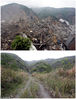 合成图。上：2008年5月15日，地震后三天，救援人员和居民搜寻幸存者。下：2018年4月6日，同一地点。