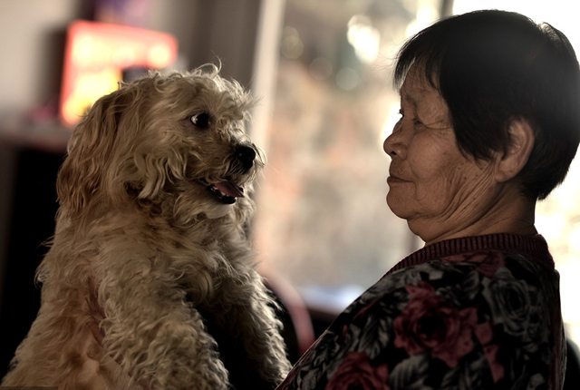 贵阳：探访独居老人生活 与狗为伴