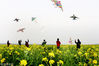 2018年4月4日，江苏连云港，孩子们在田野里放飞风筝。
