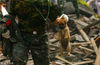 2008年5月16日，什邡，救援人员从废墟中搜救出一条小狗。刘自强/视觉中国