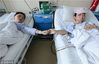 2017年4月12日，河南郑州，郑大一附院肝移植病区，肝移植手术后，高红梅母子的手第一次握在一起。
张涛/视觉中国
