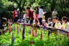 2018年5月13日是母亲节，北京玉渊潭邀请了中科院植物所植物科学绘画家孙英宝老师，为孩子们讲授植物知识和绘画技巧，并带领着孩子们一起描绘母亲之花“鲁冰花”。