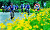 2018年5月13日，江西省上饶市10多名自行车骑行爱好者行走在乡村道路上，感受美丽乡村的清新空气和自然景色。