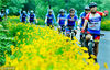 2018年5月13日，江西省上饶市10多名自行车骑行爱好者行走在乡村道路上，感受美丽乡村的清新空气和自然景色。