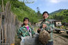 2018年5月12日，陕西汉中，探访深山中的养蜂人。55岁的张安兴和51的妻子赵九香忙着为土蜂分家。