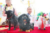 2018年5月13日，江苏南通，小朋友被藏式物品展示区的藏式藏獒玩偶吸引。