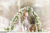 The squirrel newlyweds pass through a flower arch. 