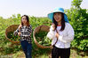 2018年5月24日，沈阳，沈阳农业大学生物科学技术学院蚕学专业学生在进行移蚕作业等。