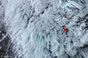 2013年2月8日消息（具体拍摄时间不详），加拿大不列颠哥伦比亚，不畏生死的攀爬高手正在攀爬一个巨型冰冻汉默肯瀑布。汉默肯瀑布被誉为世界上最难攀爬的瀑布，高450英尺，尽管冰冻状态，来自加拿大和斯洛文尼亚的攀爬高手还是征服了这一瀑布。加拿大摄影师Wiktor Skupinski拍摄到这些令人惊叹的影像。