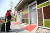 2018年5月9日，北京市丰台区，一所经立体绿化改造的公共卫生间亮相丰台街头引人注目。该公厕外墙分成大小不等的格子，里面栽种了海棠花、五色草等植物，对公厕进行了“立体绿化”。
