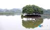 View of the Wetland. (Photo by Shi Han / Xinhua.net)
