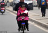 2011年2月18日，在西安四府街附近，一名坐在电动车后面的一名小女生认真地看着书。开学了，拿到新书的孩子们迫不及待地一睹为快。华商报李晖/视觉中国